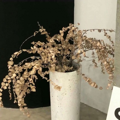 Furry插画灵感合集兽圈群